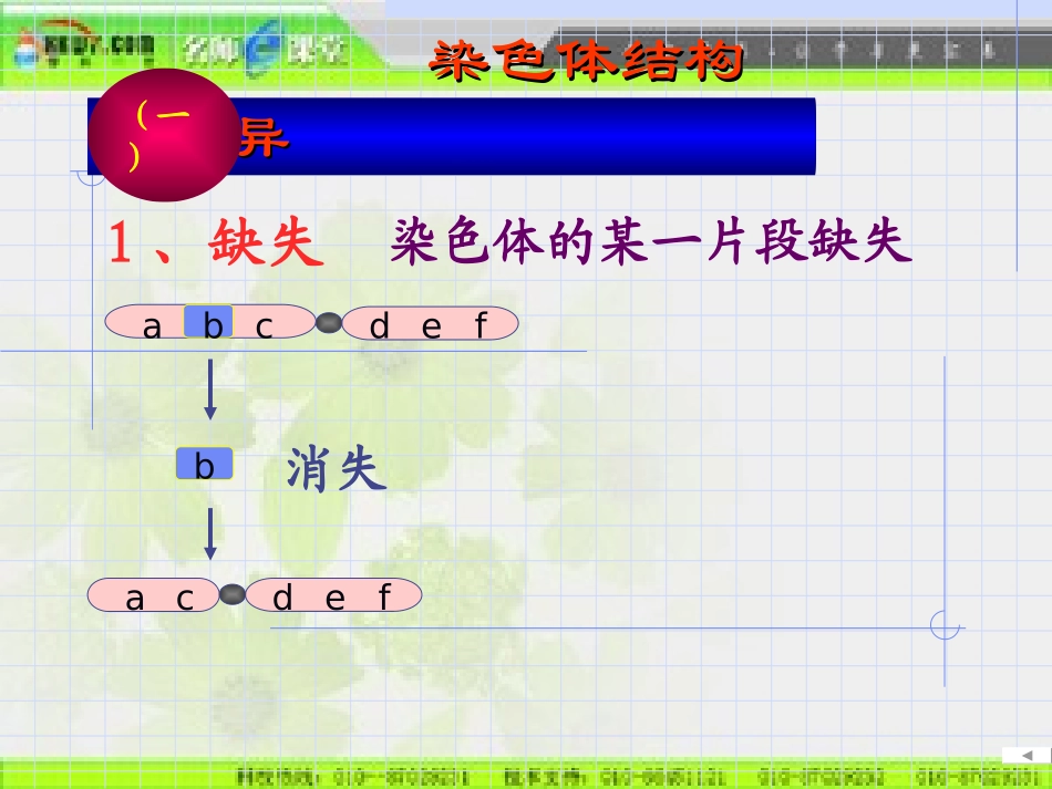 染色体变异 (2)_第3页