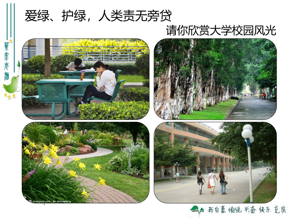 最新人教版360爱护植被，绿化祖国_第1页