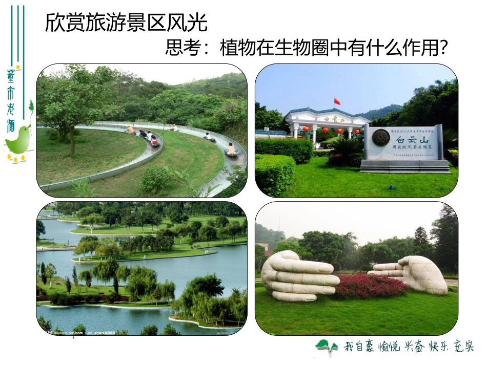 最新人教版360爱护植被，绿化祖国_第2页