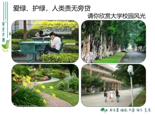 最新人教版360爱护植被，绿化祖国