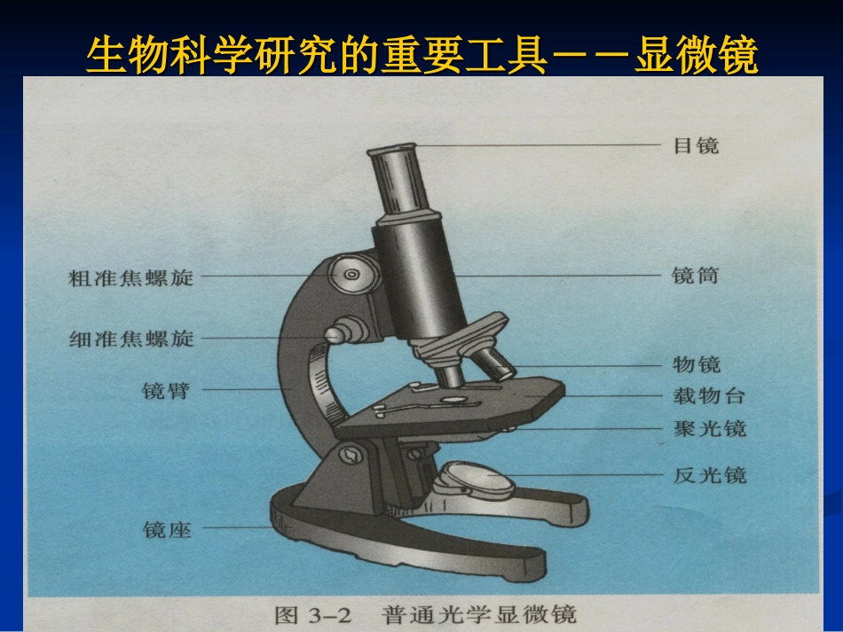 普通光学显微镜_第1页