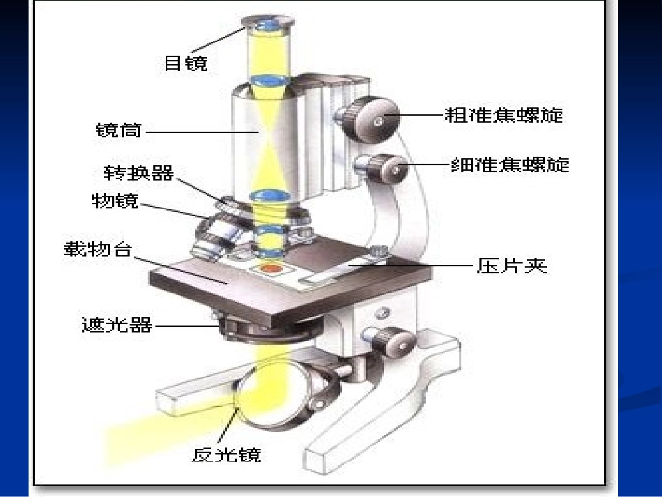 普通光学显微镜_第3页