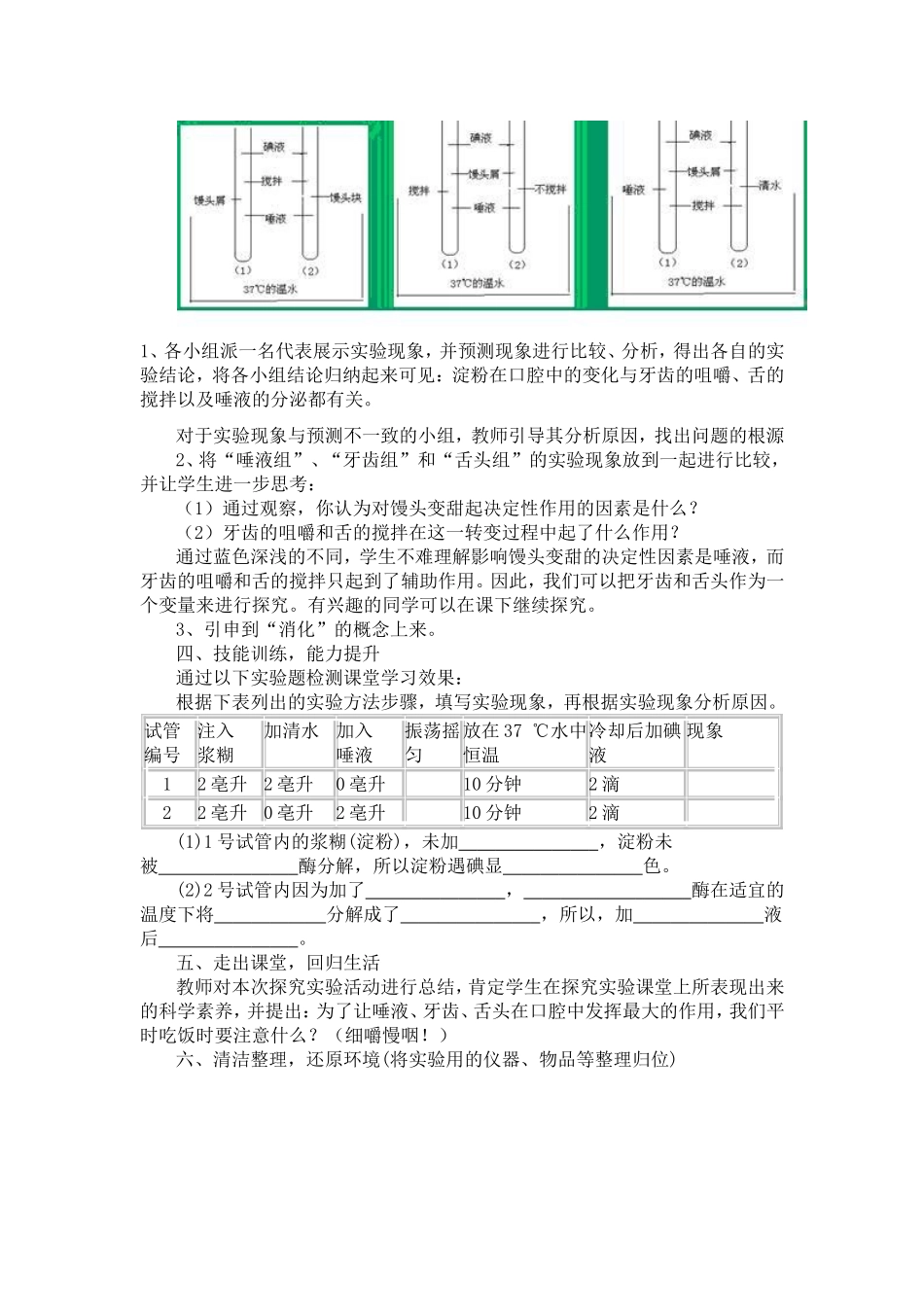 探究馒头在口腔中的变化2_第3页