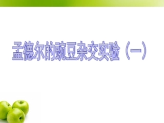 孟德尔豌豆杂交实验一