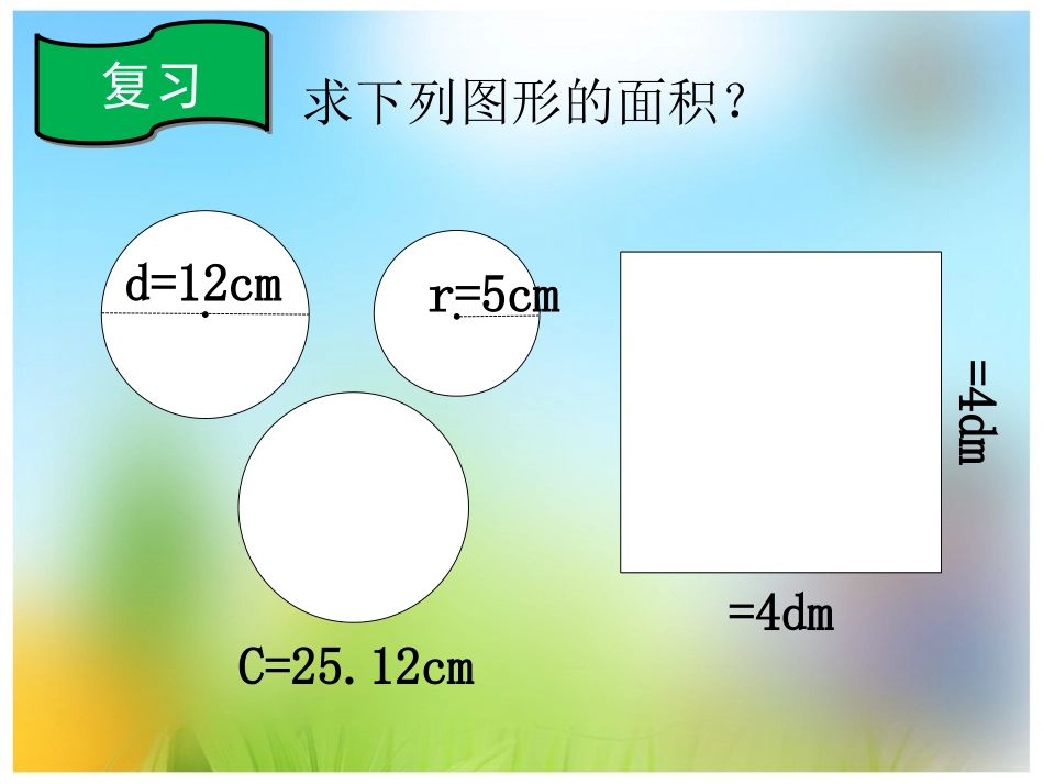 圆的面积-解决问题2_第2页