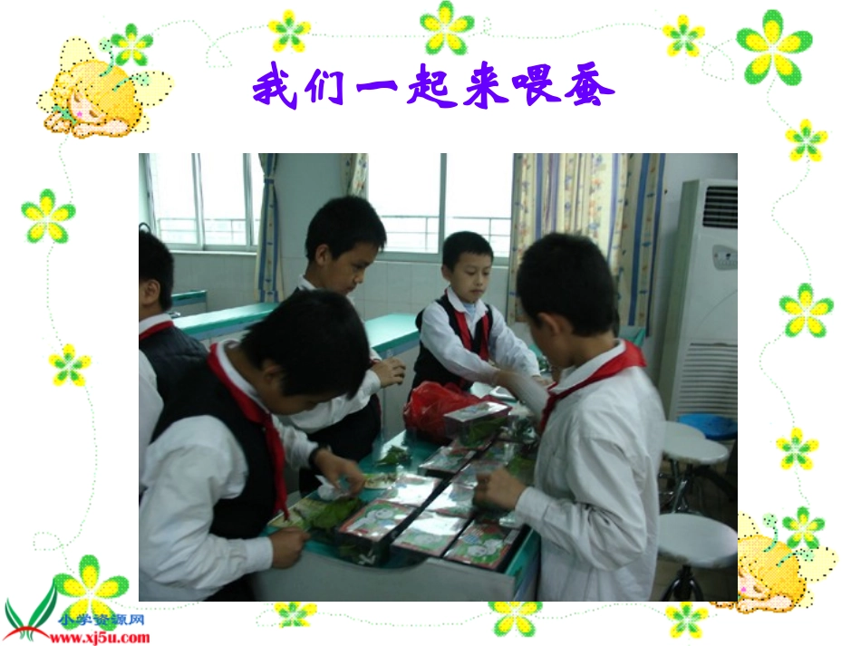 （苏教版）四年级科学下册课件22给蚕宝宝记日记1_第3页