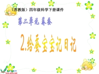 （苏教版）四年级科学下册课件22给蚕宝宝记日记1