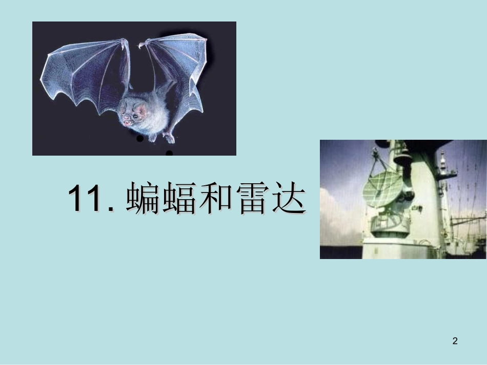 四年级语文下册__第十一课__蝙蝠和雷达PPT_第2页