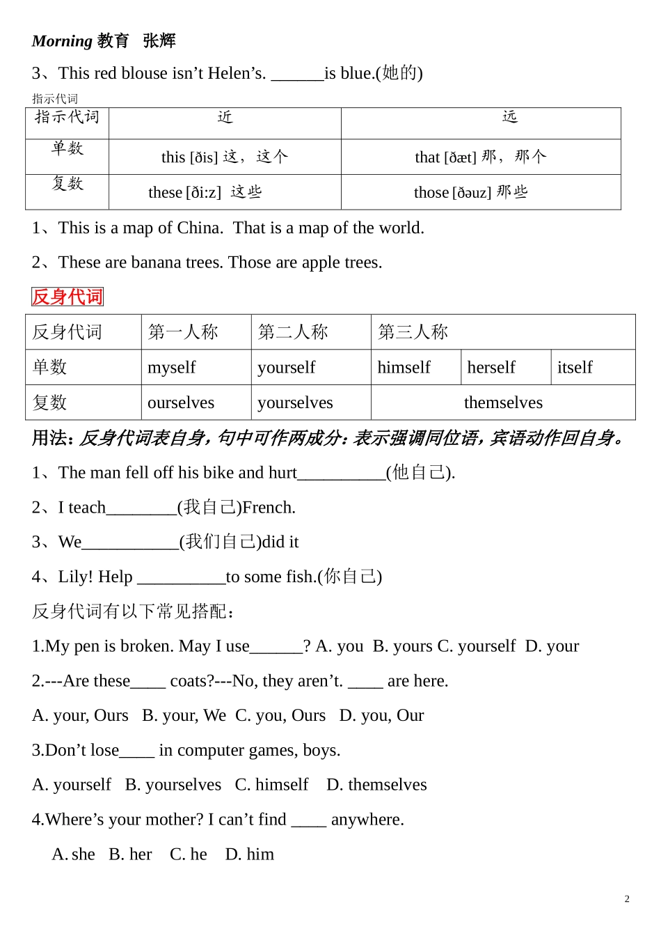 中考代词专项突破_第2页