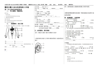 人体泌尿系统的组成
