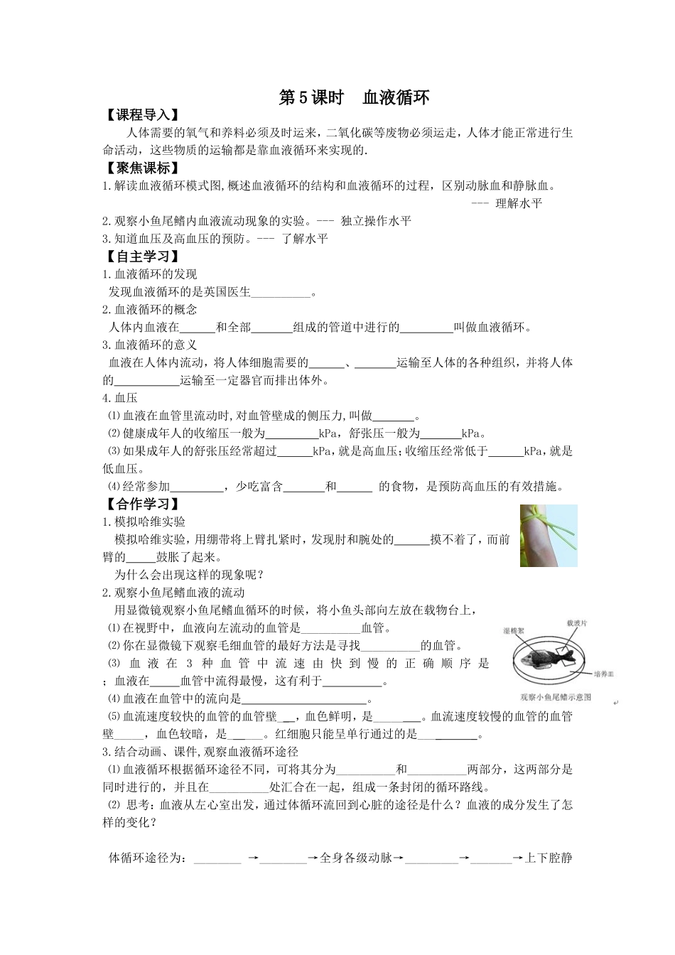 学案血液循环_第1页