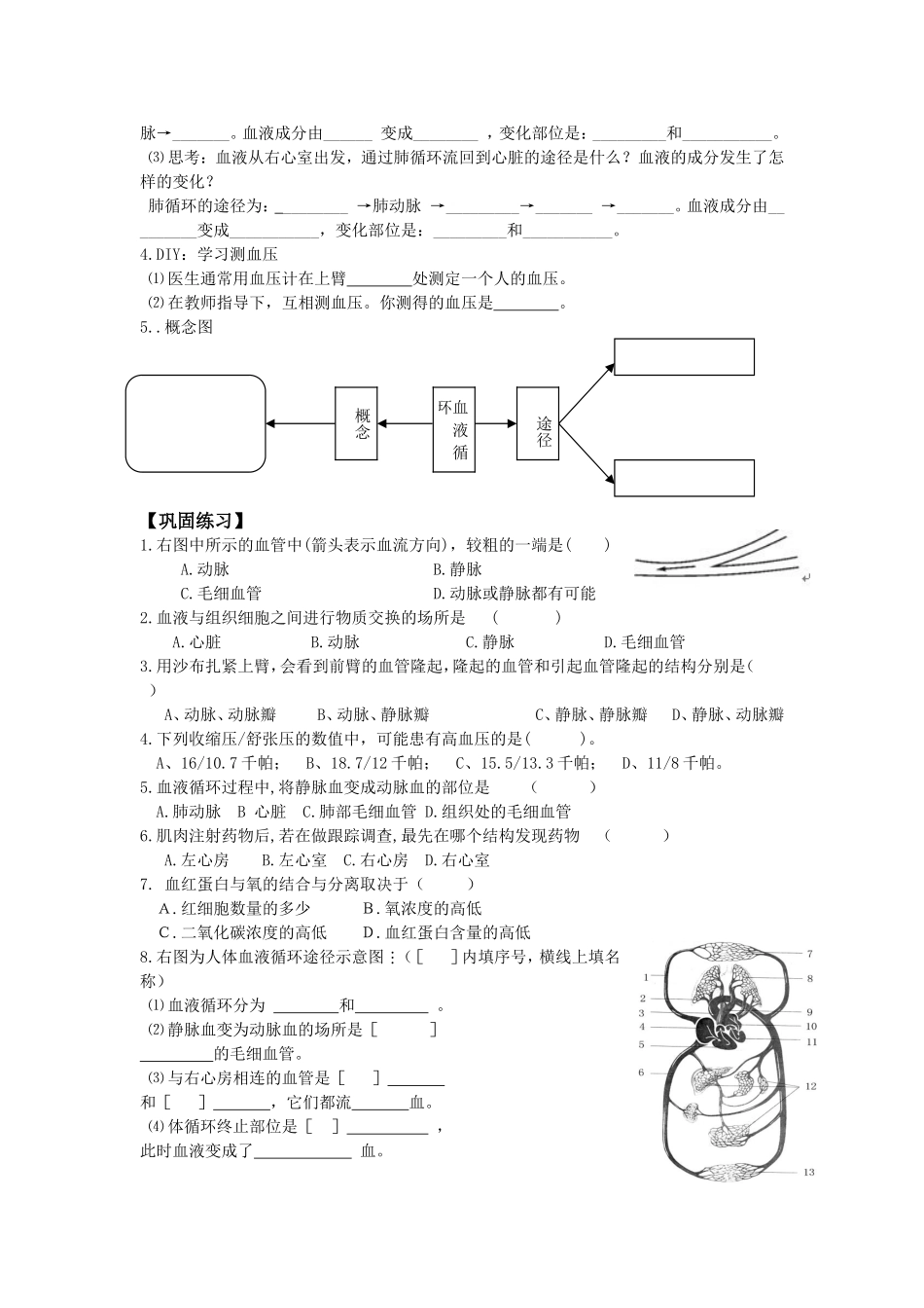 学案血液循环_第2页