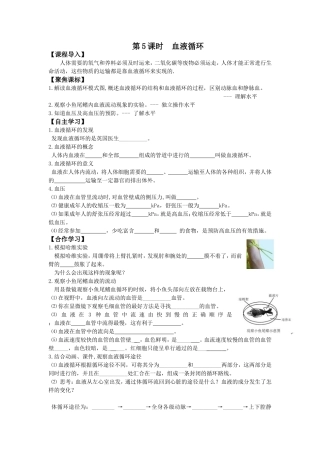 学案血液循环