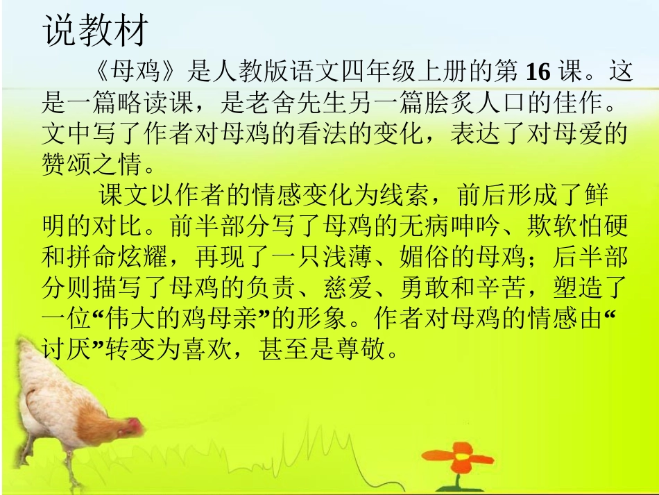 母鸡说课稿课件_第1页