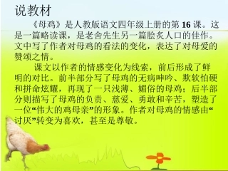 母鸡说课稿课件