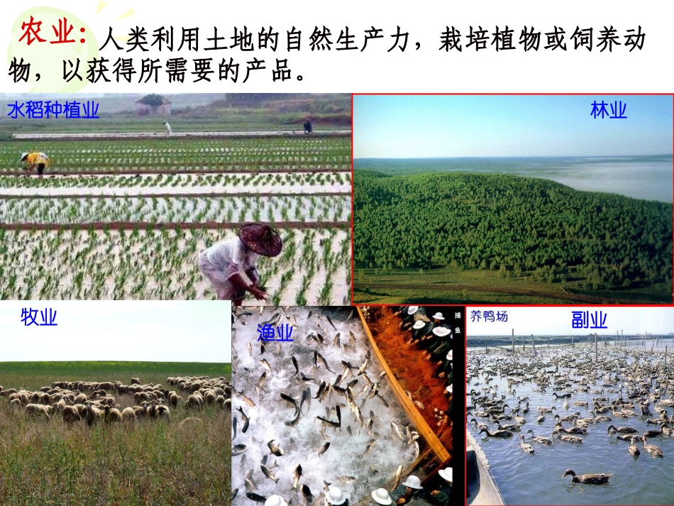 中国的农业公开课_第3页