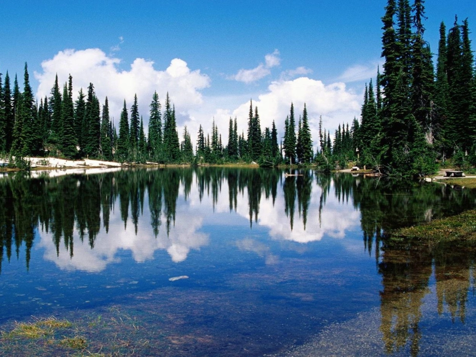 粤教版-第四章探究水的组成_第3页