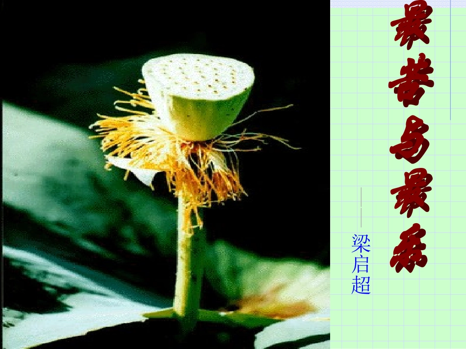 最苦与最乐PPT_第1页