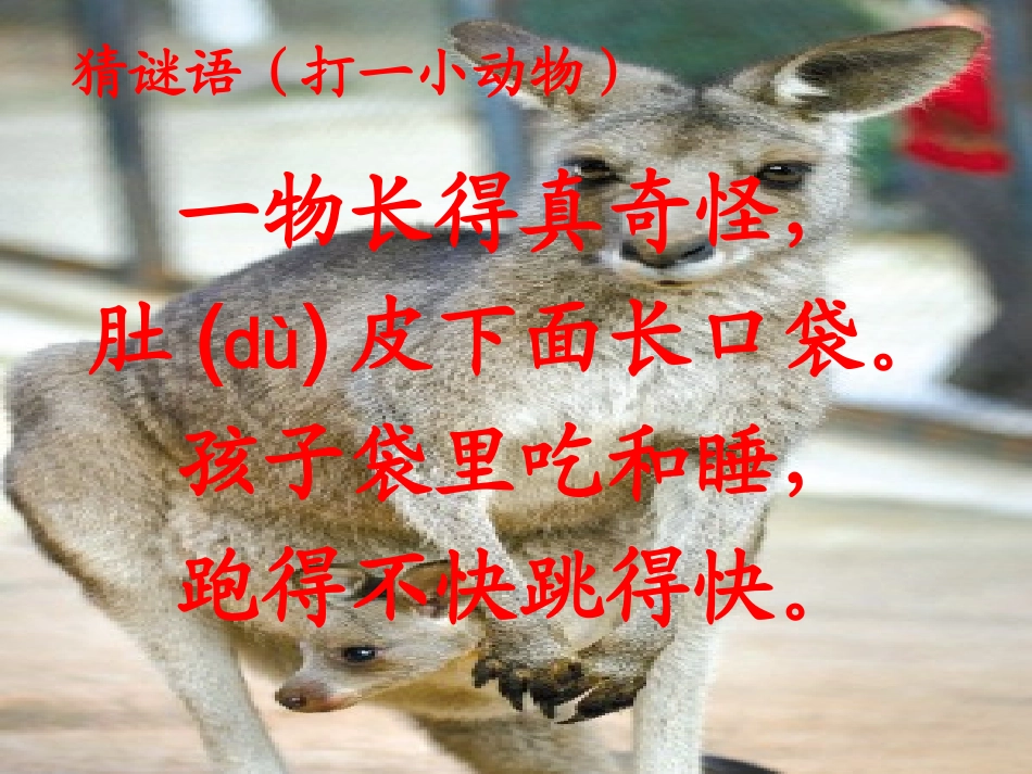三个小伙伴课件_第2页