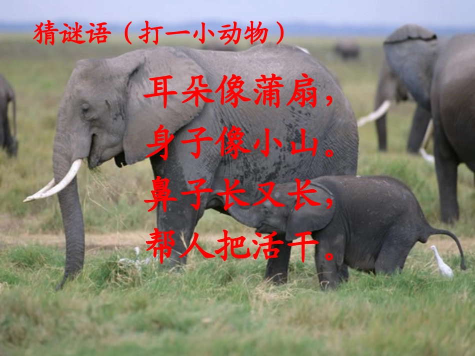 三个小伙伴课件_第3页