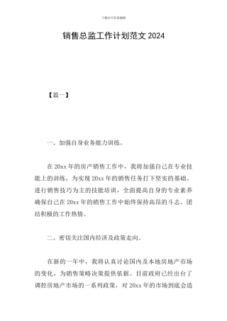 销售总监工作计划范文2024
