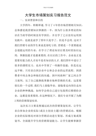 大学生市场策划实习报告范文