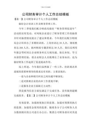 公司财务审计个人工作总结模板