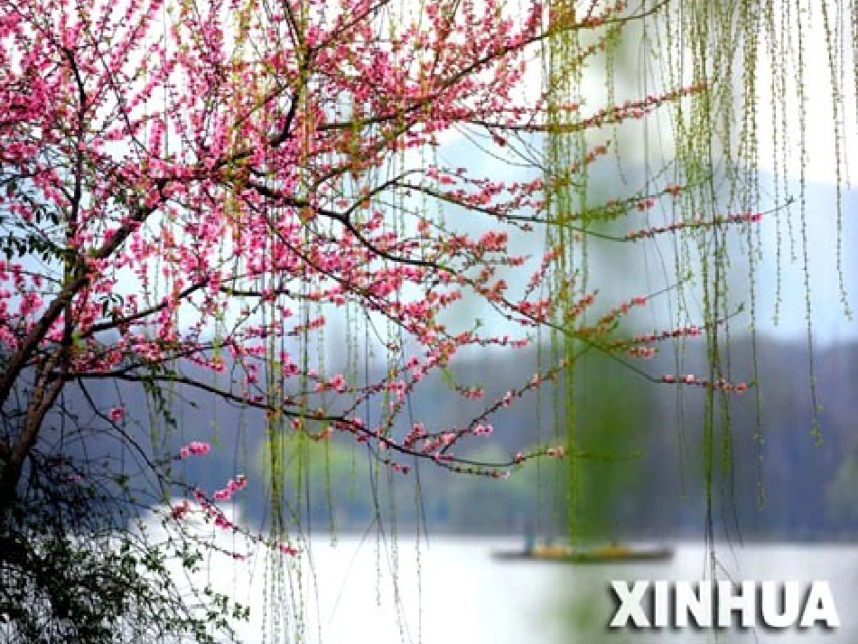 《柳叶儿》课件（苏教版）2_第2页