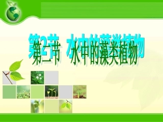 水中的藻类植物（陈玲）