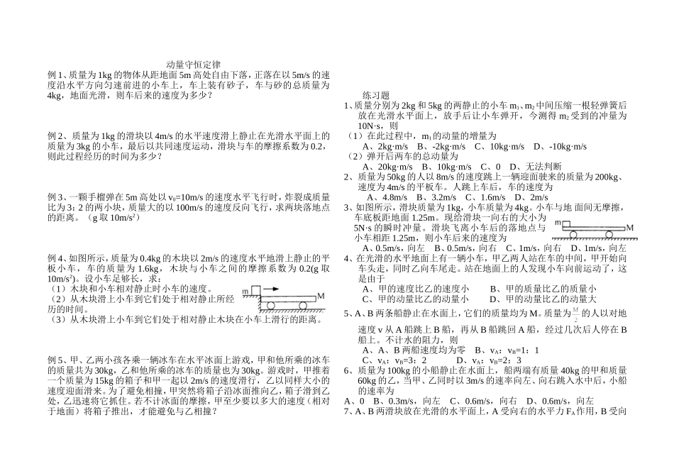 动量守恒定律_第1页