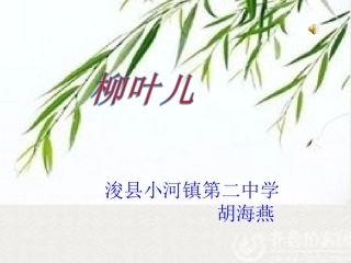 苏教版七年级语文柳叶儿1(2)