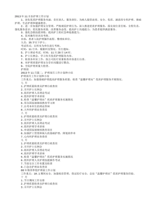 月护理工作计划11月份