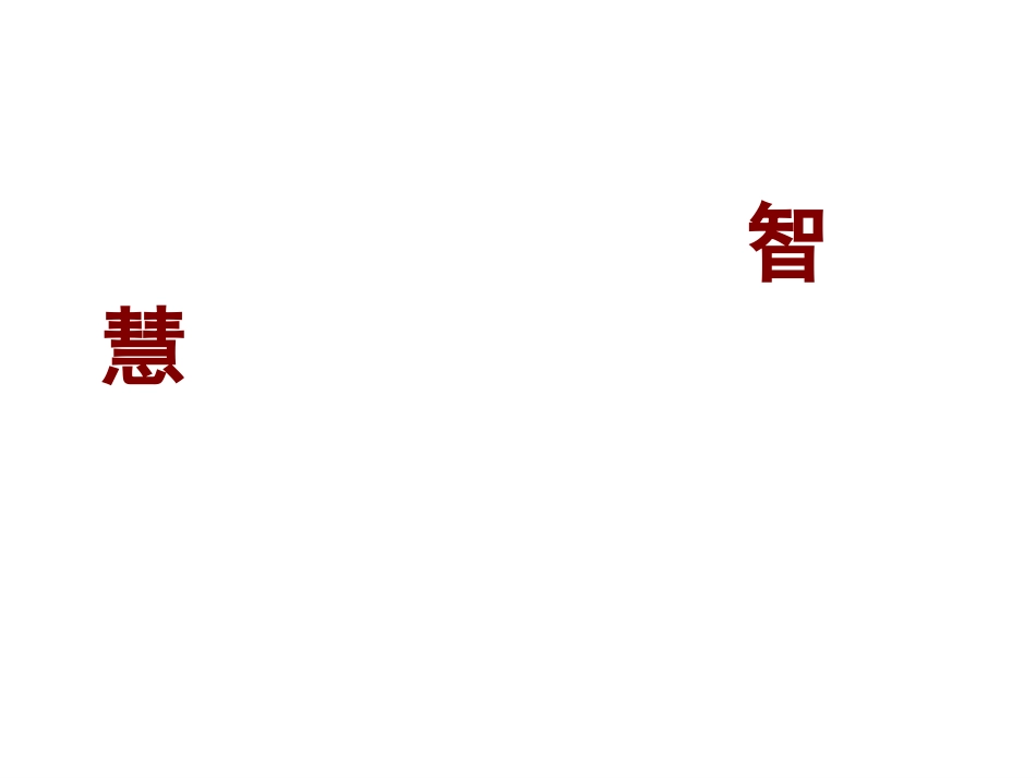 言语实践：语文教学的理性坚守_第2页