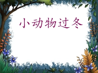 小动物过冬PPT课件