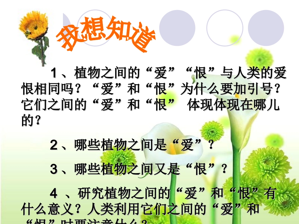 植物之间的爱和恨_第2页
