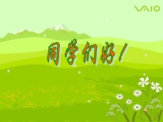 生动的外貌描写