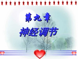 神经系统的调节