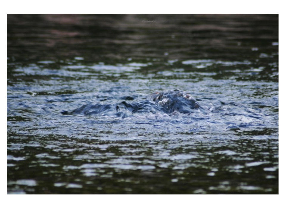 《泉水》 (4)_第3页