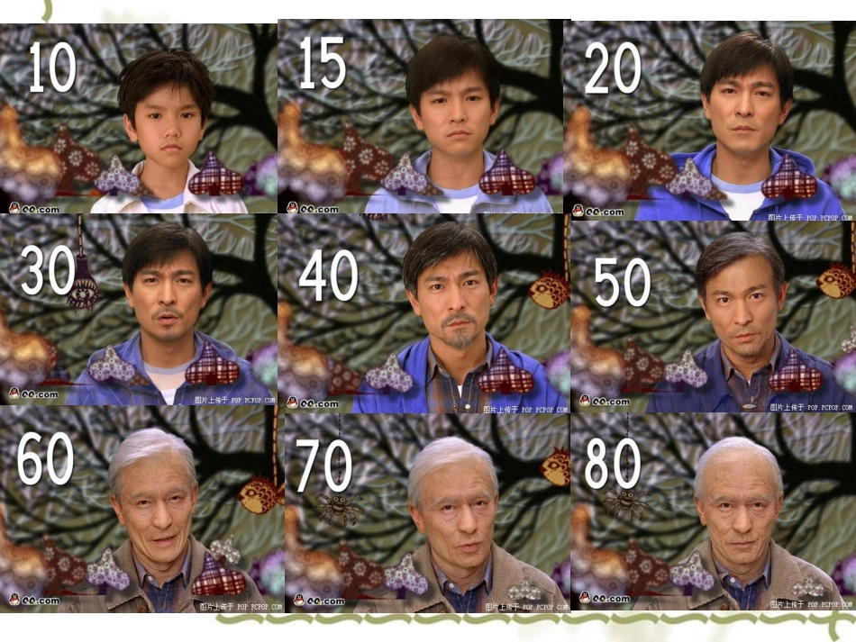 人教版必修一第六章第三节细胞的衰老、凋亡、癌变（共40张））_第1页