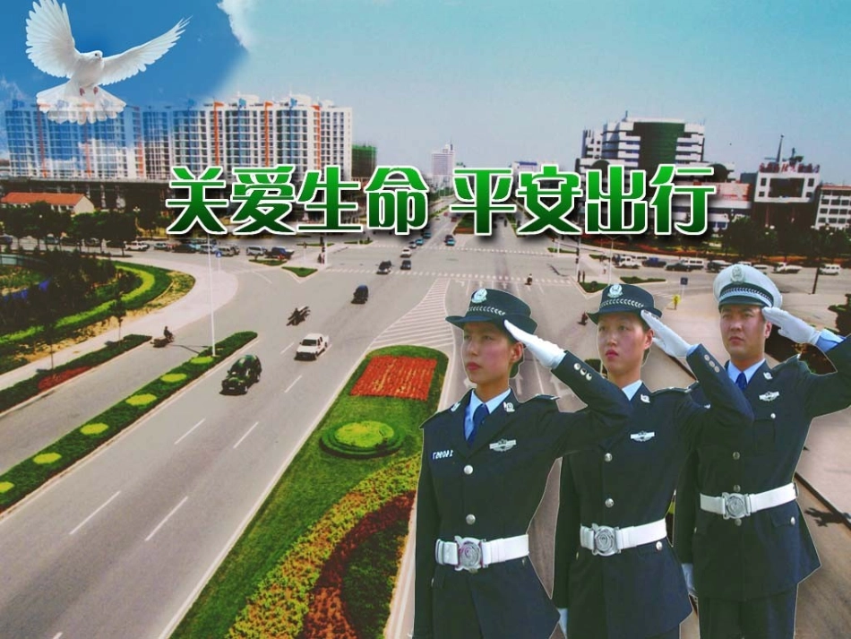 遵守交通规则爱护绿色生命_第1页