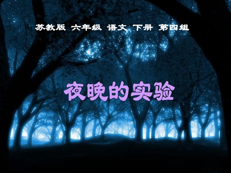 夜晚的实验课件_第2页
