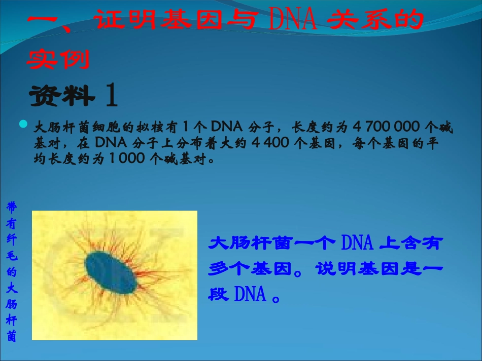生物：34《基因是有遗传效应的DNA片段》课件（2）（新人教版必修2）_第2页