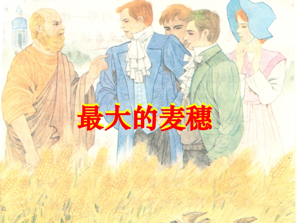 最大的麦穗课件_第1页