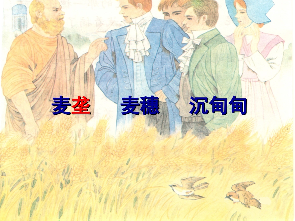 最大的麦穗课件_第3页