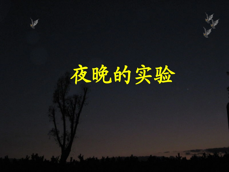 夜晚的实验PPT课件(1)_第1页