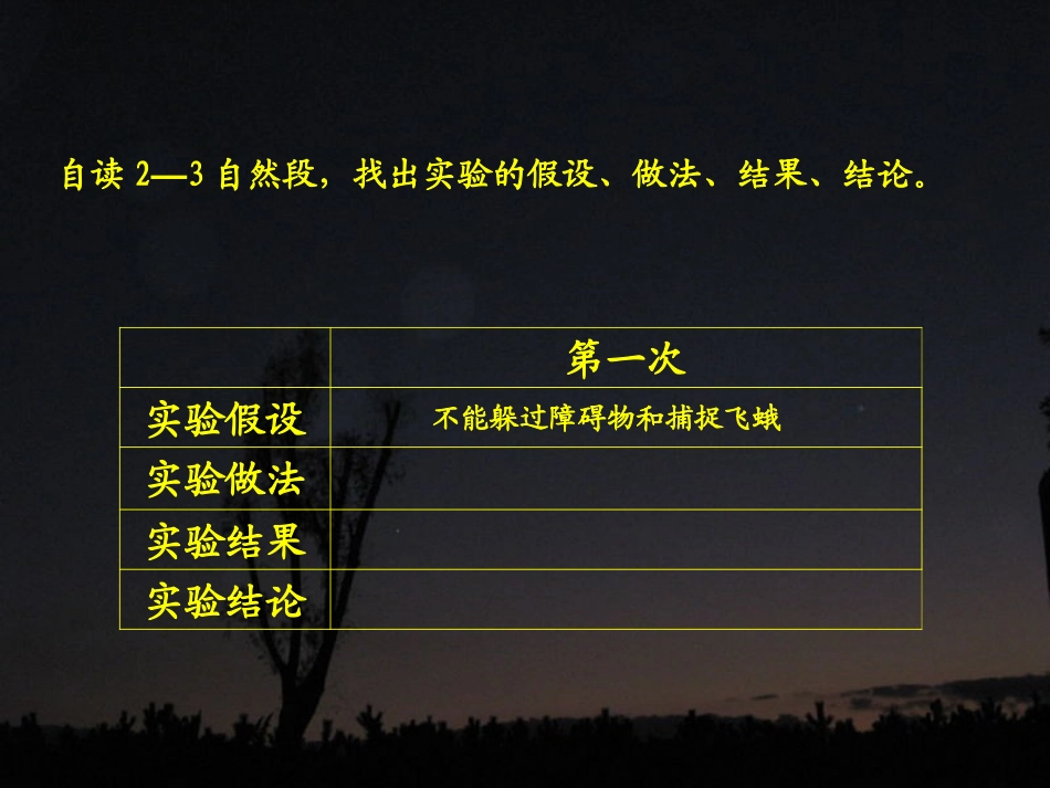 夜晚的实验PPT课件(1)_第3页