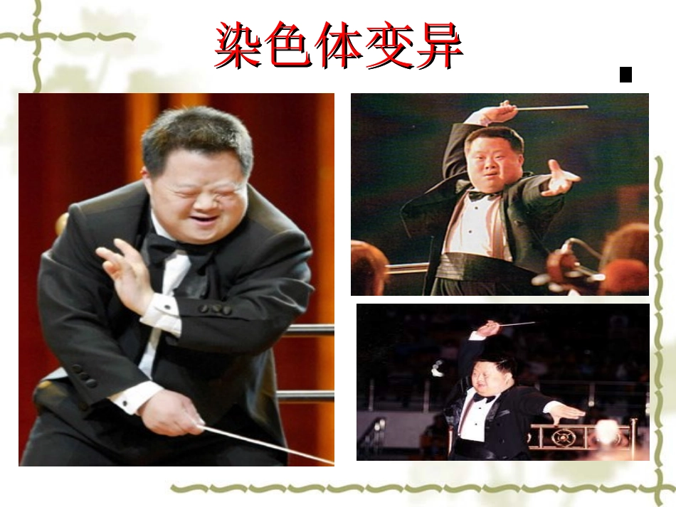染色体变异习题课_第1页