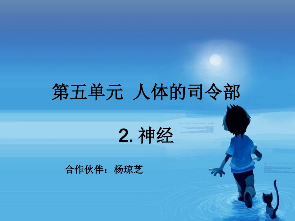 苏教版小学科学五年级下册《神经》课件(4)_第2页