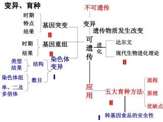 第八讲变异、育种、进化（2014黄珍）