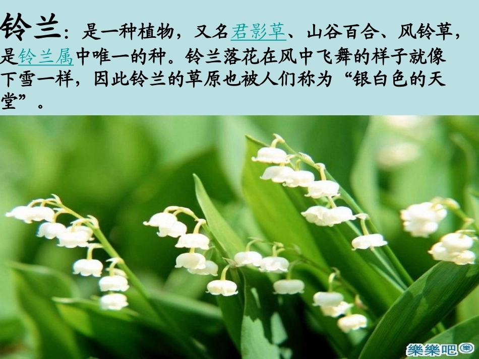 7_我不是最弱小的课件 (4)_第2页